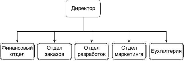 Структура ООО Новый семестр